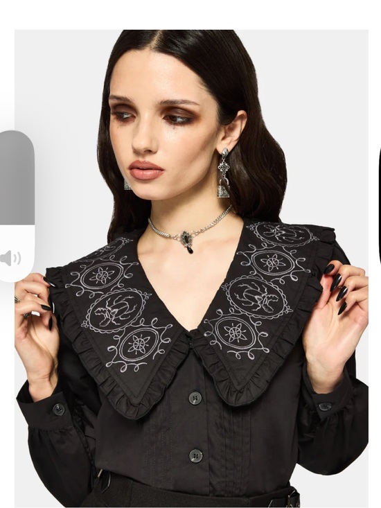 Disturbia Tops - NWT Disturbia Alira Bug Embroidered Collar Long Sleeved Blouse- size 8